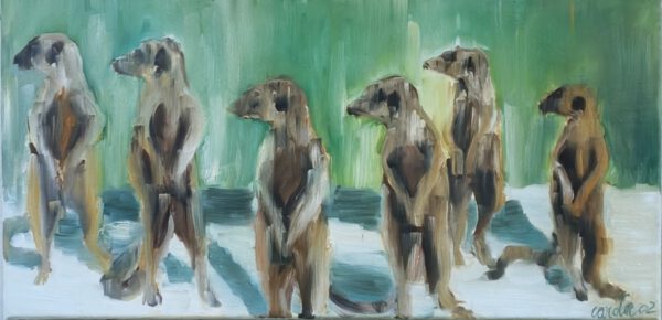 Curious meerkats, 30x50cm, 2002