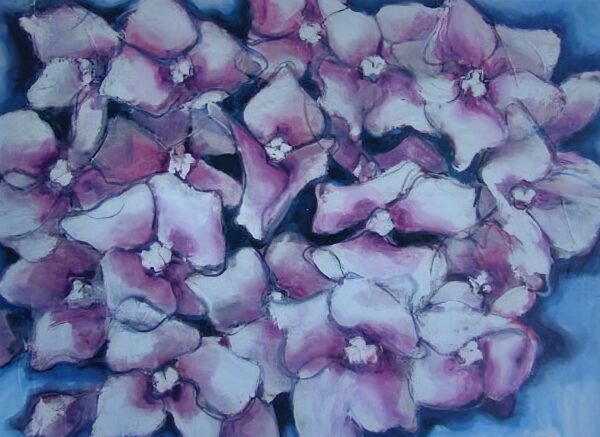 Hydrangea, 60x80cm, 2005